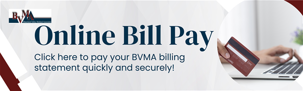 online bill pay